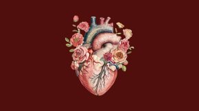 Амір усіх органів